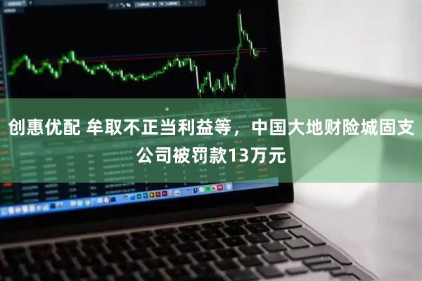 创惠优配 牟取不正当利益等，中国大地财险城固支公司被罚款13万元